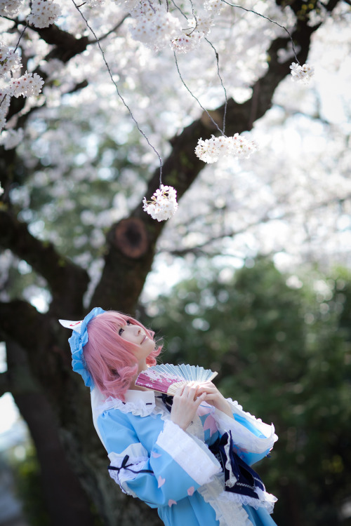 Touhou Project - Yuyuko Saigyouji (Mysuite) 13HELP US GROW Like,Comment & Share.CosplayJapaneseGirls1.5 - www.facebook.com/CosplayJapaneseGirls1.5CosplayJapaneseGirls2 - www.facebook.com/CosplayJapaneseGirl2tumblr - http://cosplayjapanesegirlsblog.tum