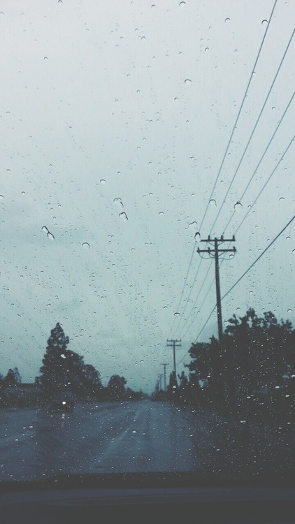 winter-madnesss:  following back similar