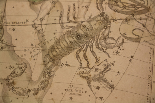 uispeccoll: Astronomy buffs rejoice! This beautiful celestial atlas is a supplementary text to 