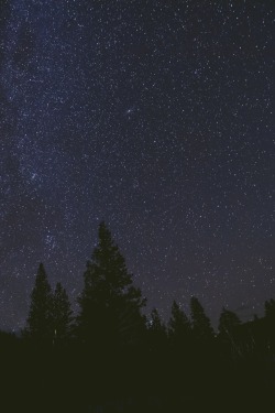 r2&ndash;d2:  Yosemite Stars 2 by (Conner McCrea) 