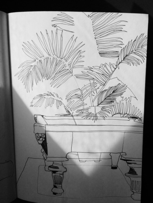 Big Ass Palm sketch. Happy accident with the lighting