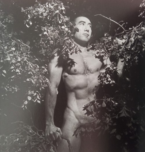 mishimaesque:Man in Foliage, 1968.Yukio Mishima: The Death of a Man Photography by Kishin Shinoyama