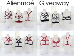 michellemoe: Alienmoé Summer Giveaway !  5 Winners !  Prize  2 Harnesses of your choice 1 Accesoire of your choice Rules Must reblog (you may reblog as many times as you want) Message box must be open  No giveaway blogs   Giveaway ends 30th of june