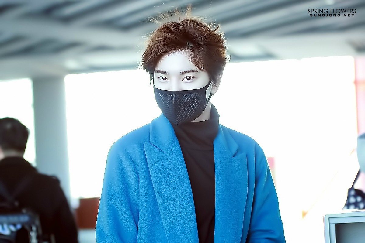 ifntjjong: 150116 Gimpo Airport© SPRING FLOWERS | Please do not edit/crop/remove