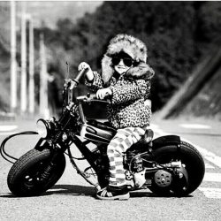 blackdustblog:  #harleyboy #harley #learnthemyoung http://ift.tt/2jeyKkD