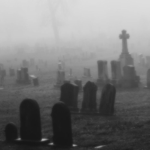 The Sky Above The Cemetery Was Heavy, Like A Low Blanket Of Gray Clouds, Soaked With Eternal Cold. There