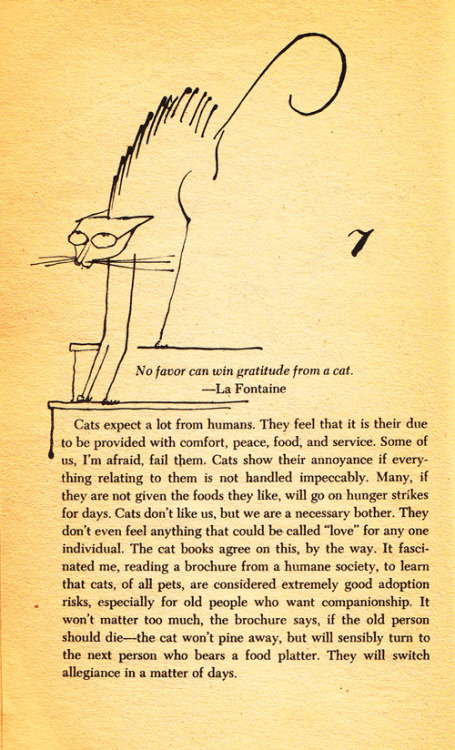 A Cat-Hater’s Handbook: Irreverent Vintage Gem Illustrated by Tomi Ungerer