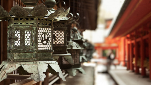 Kasuga Taisha Lanterns : Nara, Japan / Japón