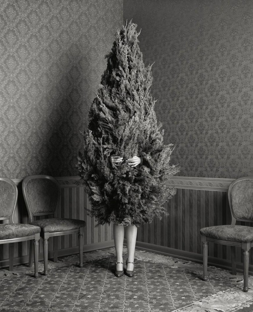 Geof Kern