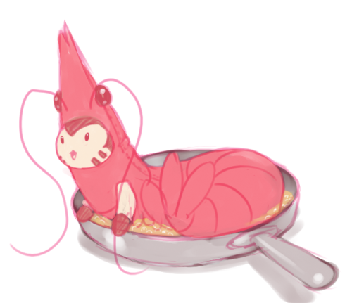 shrimp