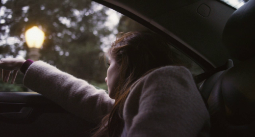  Palo Alto (2014) dir. Gia Coppola “You’re young. You don’t know why you do things. But there’s always a reason.” 