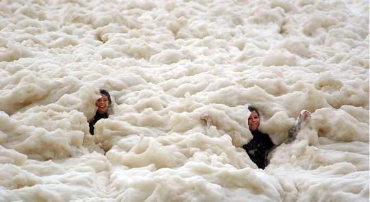 How much I love mashed potatoes