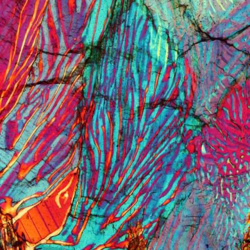 Myrmekite under the microscope One of the more intriguing types of crystallisation is composed of an