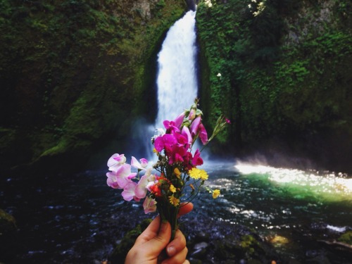 theoregonscout: No shortage of waterfalls and wildflowers in the Columbia River Gorge!