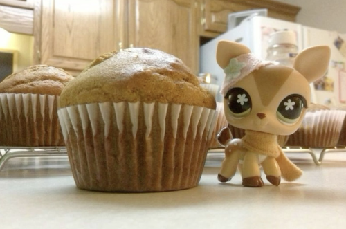 Look How Caaaayute!!!