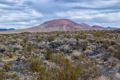babyitmustbeart:Taken last October while hiking and camping in the Mojave National Preserve. A cinde