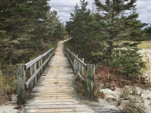 Taylor Head Provincial Park by ashleyDcrouseInstagram // Shop