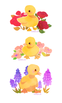 sergle:ducklings for spring! i scrapped the