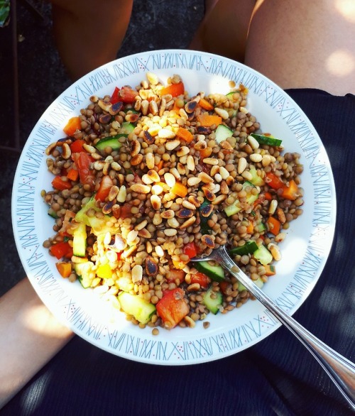 Simple lentil salad with brown lentils, carrot, tomato, red bell pepper, cucumber, spring onions, ol