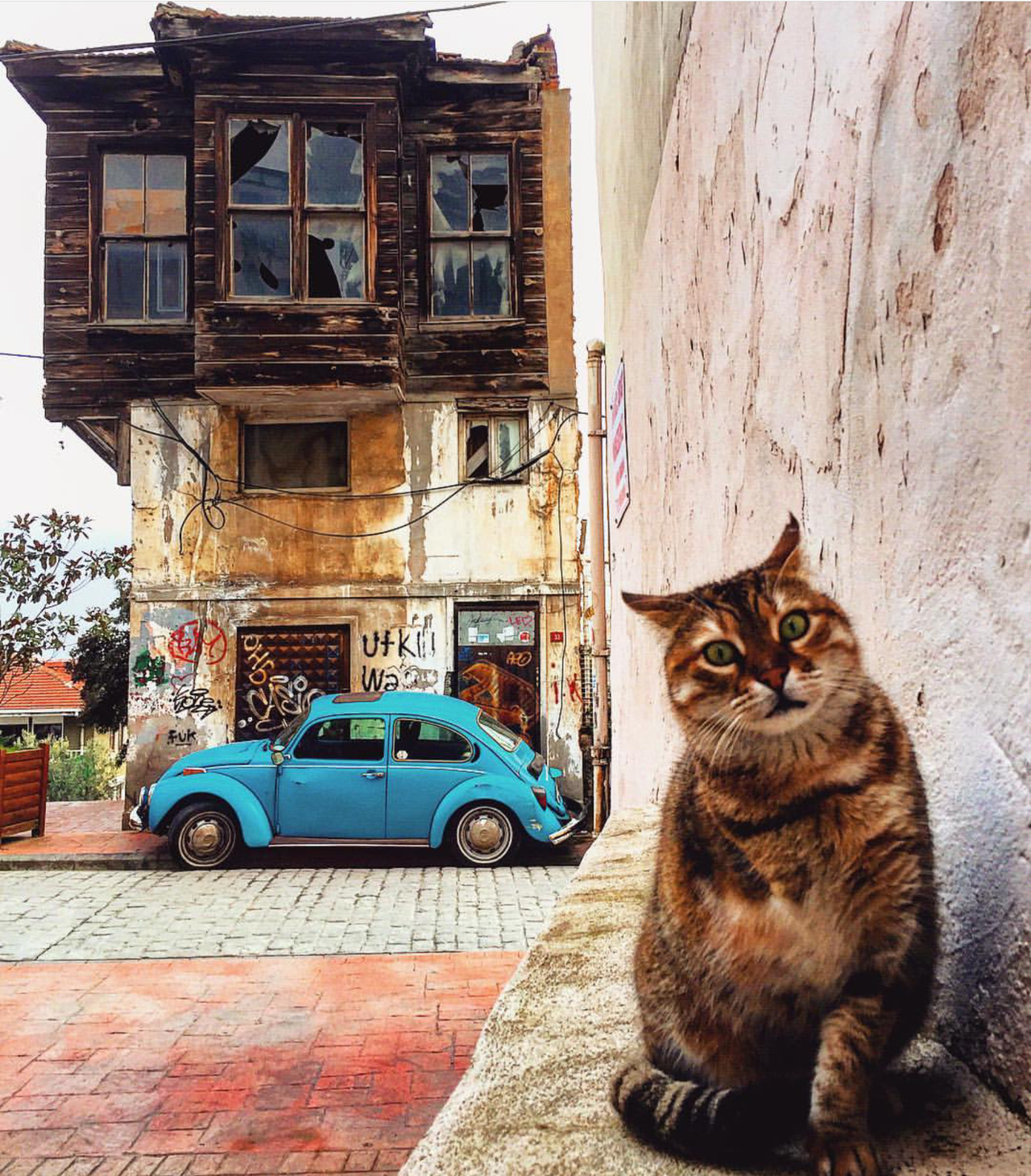 amateurphotographysblog:  Eskiden harfler daha mı kıymetliydi Bir mektup yeterdi