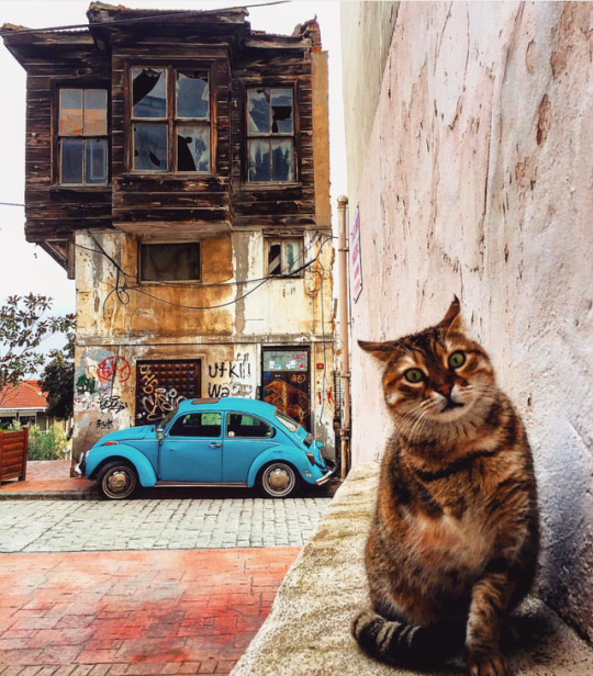 amateurphotographysblog:  Eskiden harfler daha mı kıymetliydi Bir mektup yeterdi aylar süren ayrılıkların sessizliğini kapatmaya…Elif Şafak