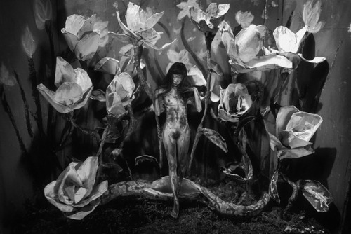 La mue by Féebrile