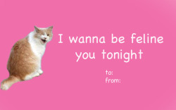 fantasticcatadventures:  the purrfect valentine for that special someone 