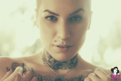 theendtocome:  Bunny Harlow – Tweed (© 2013 Suicide Girls)