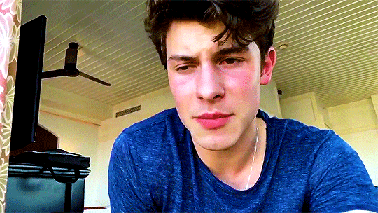 mendes-shawn:x