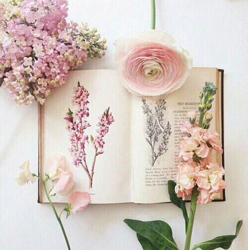 Books and flowers.