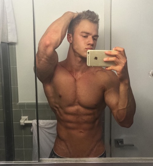 Adonis Files