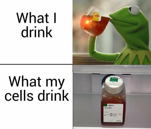 Cracking open a cold one with my cells.Meme by: https://instagram.com/thelabmemes/