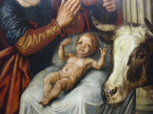 girlwhoiscrying:renaissance babies are horrible but relatable 