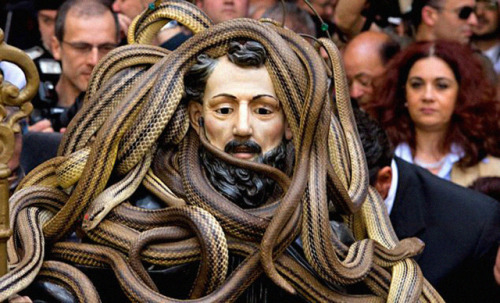 A sculpture of St. Dominic covered with Italian Aesculapian snakes, Elaphe lineata, during the famou