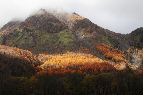 Autumn View Of Kamikochi, Japan By Andy Leung