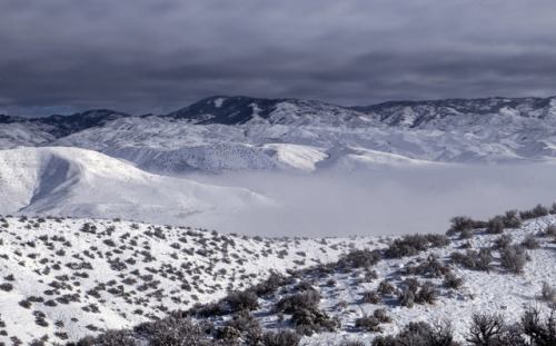 Polecat Loop Fog by Ted Harmon