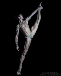 pas-de-duhhh:Marti Fernandez Paixa demi-soloist at Stuttgart Ballet photographed by Carlos Quezada for The Male Dancer Project