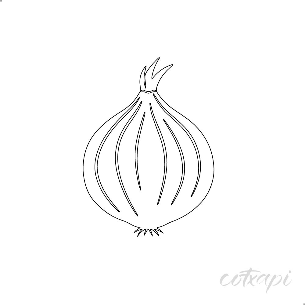 Onion Icon Set in Vector Outline Illustration