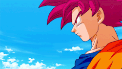 angryblackman:  mindhigh-q:  Since when does he have pink hair.  Super Saiyan God transformation. 