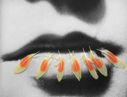 efedra:  Photographs by Emilie Halpern  1 - Feather Lips, 2010 2 - Karina, 2010
