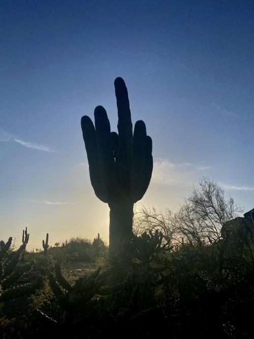 Amazinglybeautifulphotography:  Dusk In Arizona’s Sonoran Desert (3024X4032)(Oc)