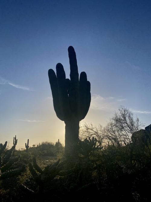 Oneshotolive:  Dusk In Arizona’s Sonoran Desert (3024X4032)(Oc) 📷: Alaric_Darconville