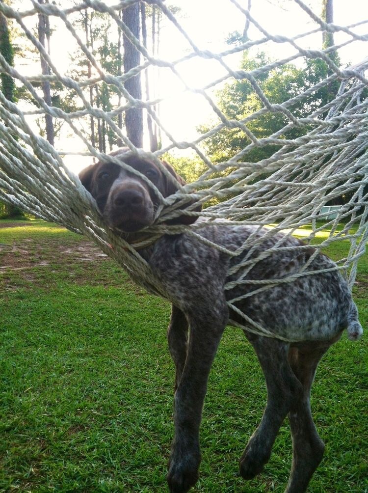 awwww! Cute!
