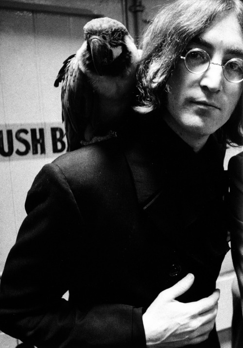 beatlesneveroutofstyle:  I have so many pictures to scan of John and this bird! John must’ve r