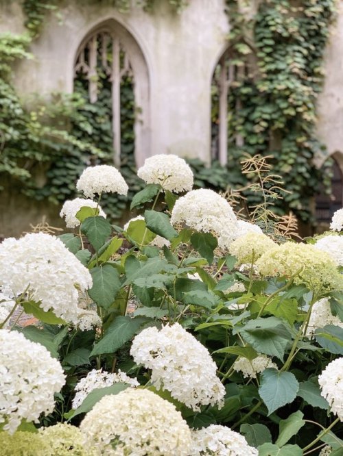 florealegiardini:St Dustan’s in the East church, London, United Kingdon ~ Kathryn Holeywell 