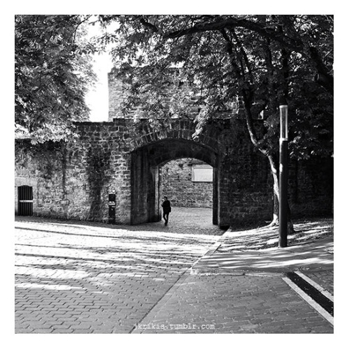 Camino Frances / Pamplona
