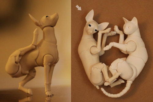 eyecaging: BJD Animals by ElleoDolls Edit: I guess the cat model was just bought but you can see it 