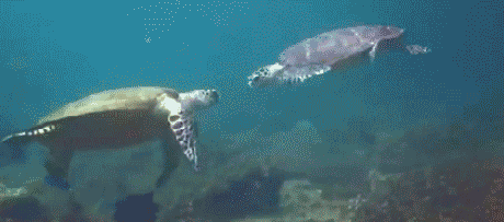 failsnet:  Tumblr Fails.net - High Five, Bro!