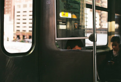 gildings:  untitled by laura finn on Flickr. 