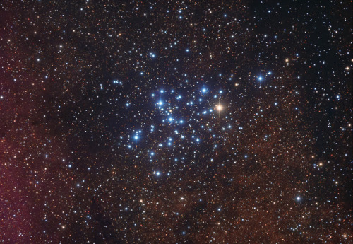 Messier 6: The Butterfly ClusterCredit: Sergio Eguivar/Buenos Aires Skies